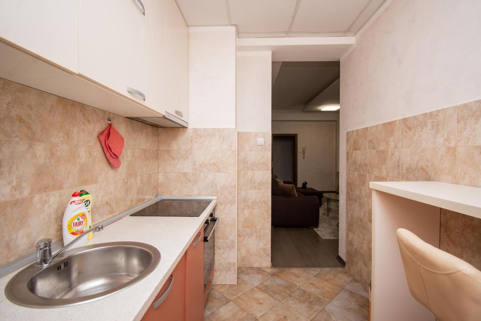 Maxim Compass Apartment Podgoriţa Exterior foto